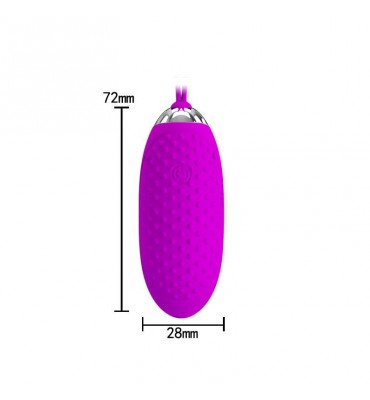 Huevo Vibrador Joanna USB Purpura