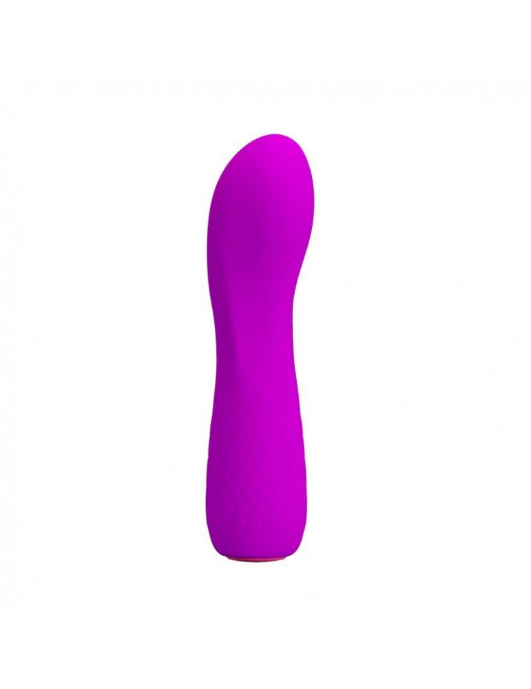 Vibrador Adam USB Silicona Purpura