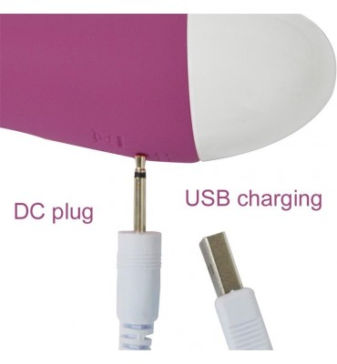Bacall Vibrador Silicona Doble Motor USB Purpura