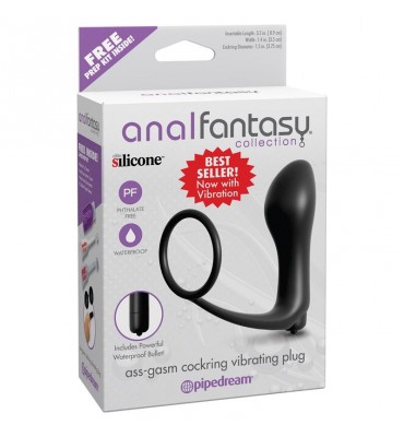 Anal Fantasy Collection Plug Vibrador con Anillo Pene Color Negro