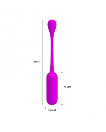Lechies Huevo Vibrador con Control Remoto USB