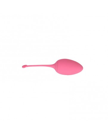 Huevo Vibrador Control Remoto Sweety Teaser USB 57