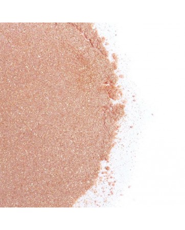 Kit Polvos 100 Comestibles y Plumero Fresas con Cava