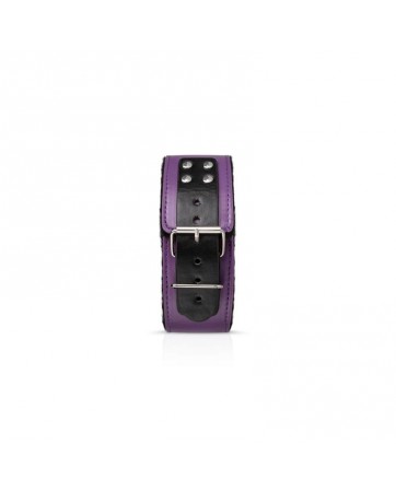 Secret Pleasure Chest Purple Apprentice