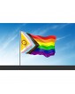 Bandera Intersexsual 90x150cm
