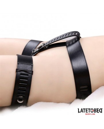 Cinturon de Castidad Ajustable