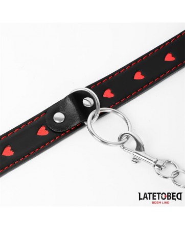 Collar con Correa 52 cm