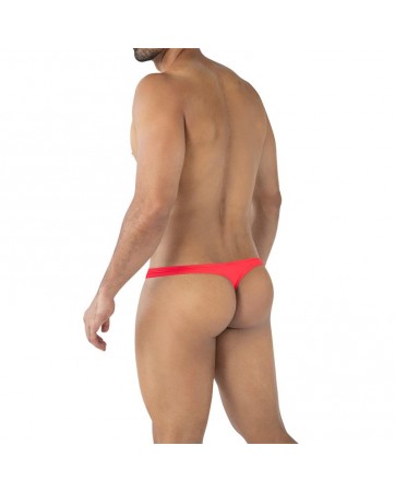 C4MSPXBUL02 Tanga Bulge...