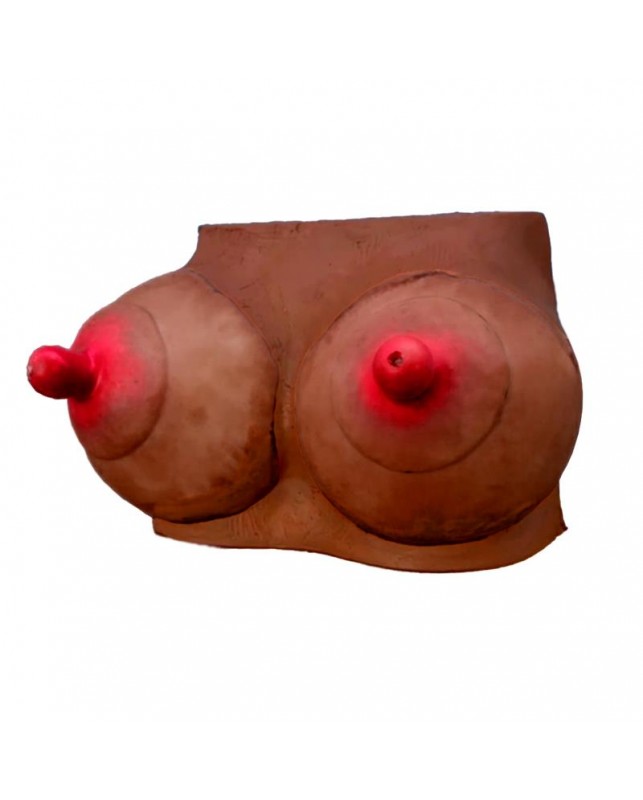 Hucha Forma de Pechos Mulata