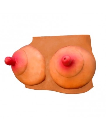 Hucha Forma de Pechos