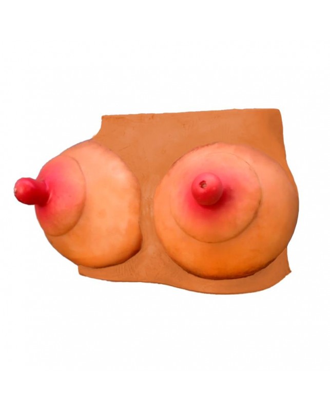 Hucha Forma de Pechos