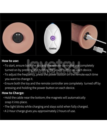 Dildo con Vibracion Piel Deslizante Silicona Dual Layer 9