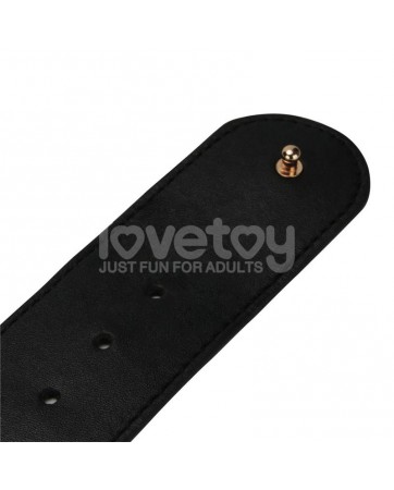 Arnes con Dildo con Vibracion 85