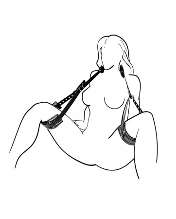 Restricciones Supremacy