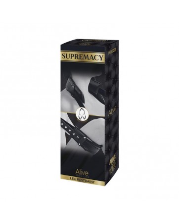 Restricciones Supremacy