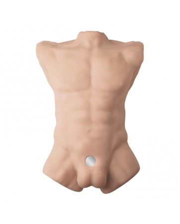 Apollo L Torso 54 cm