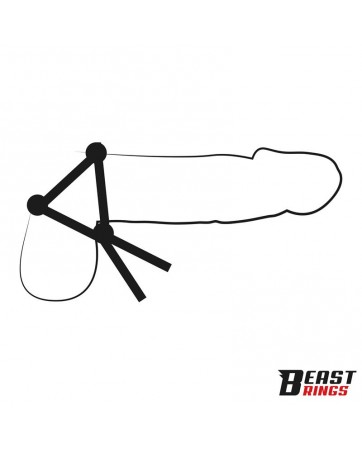 Lasso Anillo para el Pene...