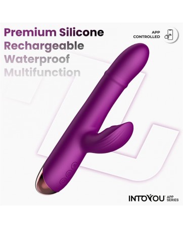 Sendel Vibrador con Anillo de Bolas Internas Up and Down y Pulsacion con App