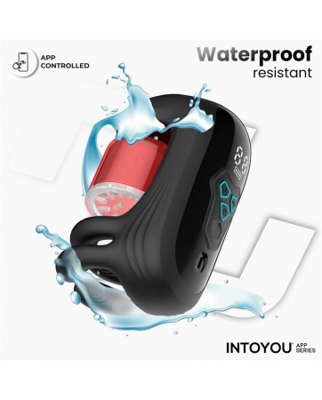 Torky Masturbador con Rotacion Compresion con App