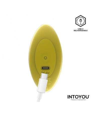 Auria Plug Anal con Vibracion y Control Remoto USB C