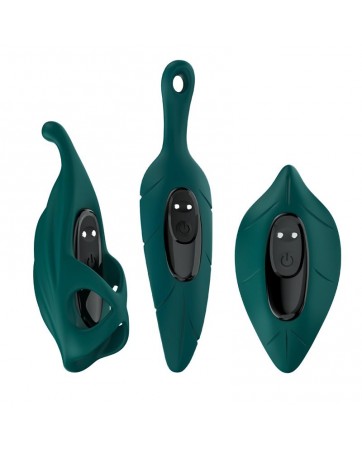 Set de Vibrador y Fundas