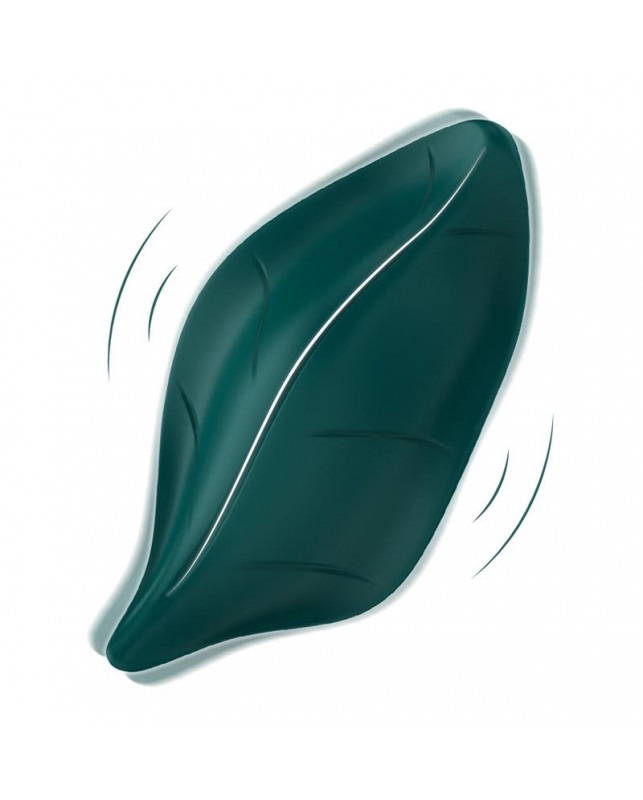 Vibrador de Braguita