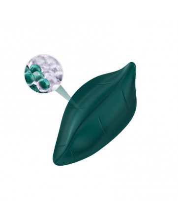 Vibrador de Braguita