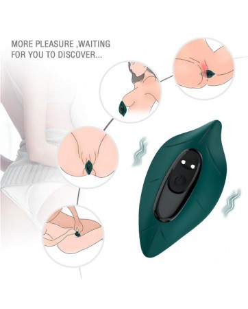 Vibrador de Braguita