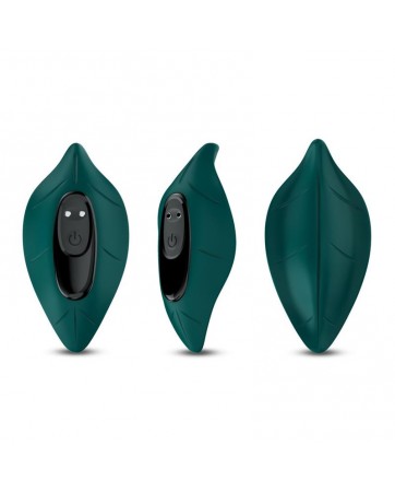 Vibrador de Braguita