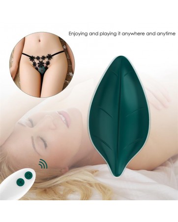 Vibrador de Braguita