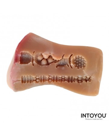 Wanda Vagina y Ano Super Realista 490 gr