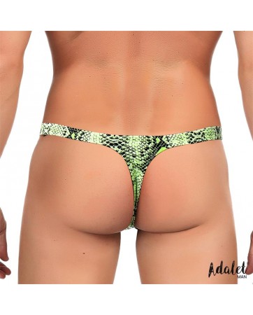 Maver Tanga Estampado de...