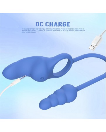 Dally Plug Anal con Anillo con Vibracion